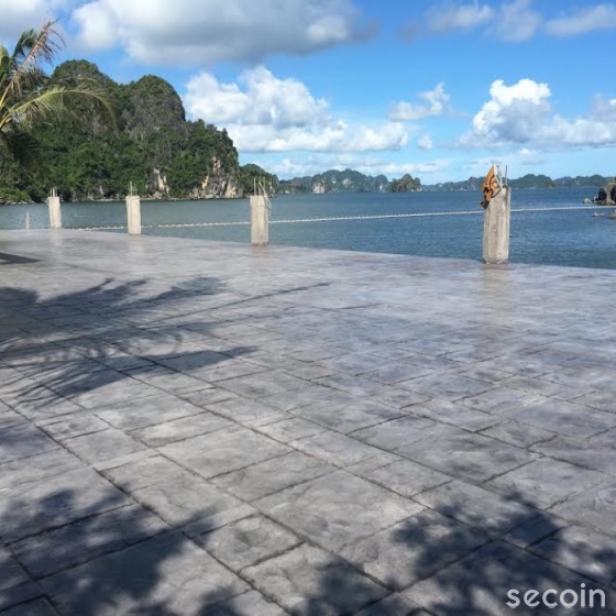 Hoa văn bề mặt Phiến đá